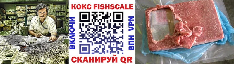 COCAIN Fish Scale  закладки  гидра ONION  Гуково 