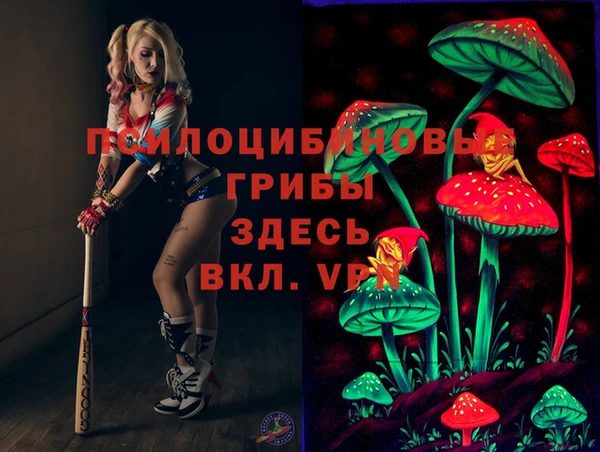 спиды Алексеевка