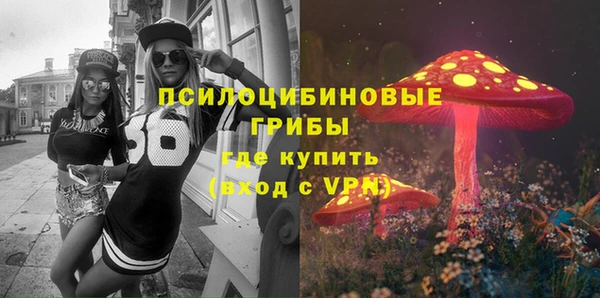 спиды Алексеевка