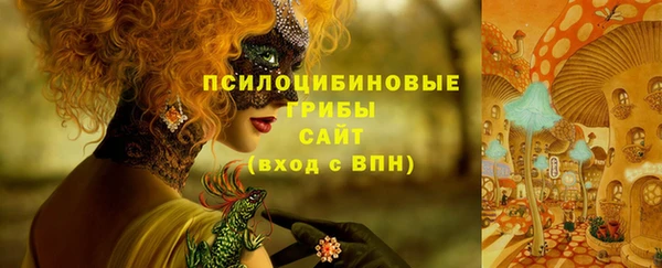 mdpv Алзамай